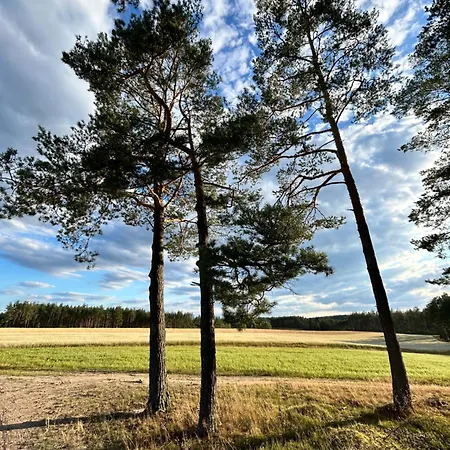 Lubiana180 Wabi Sabi W Lesie Jacuzzi Sauna Kominek - Drewno W Cenie Pobytu - Nad Jeziorem Kaszuby Pieski Tylko Do 10kg Za Dodatkowa Oplata Feriehus Lubiana