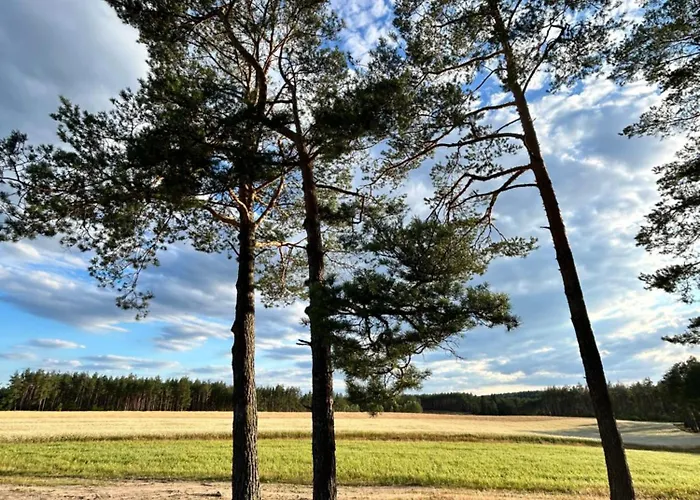 Lubiana180 Wabi Sabi W Lesie Jacuzzi Sauna Kominek - Drewno W Cenie Pobytu - Nad Jeziorem Kaszuby Pieski Tylko Do 10kg Za Dodatkowa Oplata Semesterbostad Lubiana