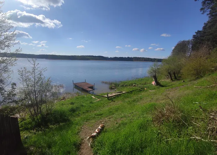 Semesterbostad Lubiana180 Wabi Sabi W Lesie Jacuzzi Sauna Kominek - Drewno W Cenie Pobytu - Nad Jeziorem Kaszuby Pieski Tylko Do 10kg Za Dodatkowa Oplata